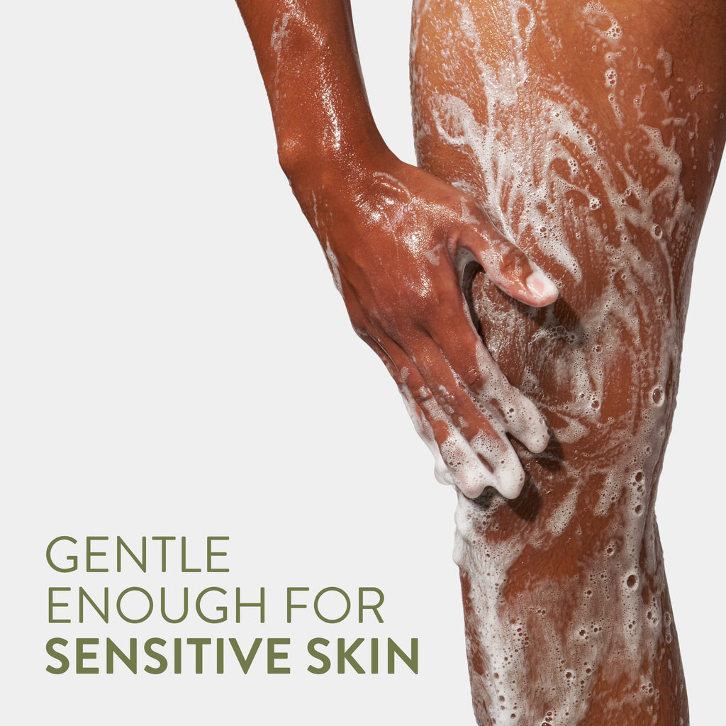 Body Wash - Balsam & White Woods / Classic / 18oz | Fresh Daily Routine