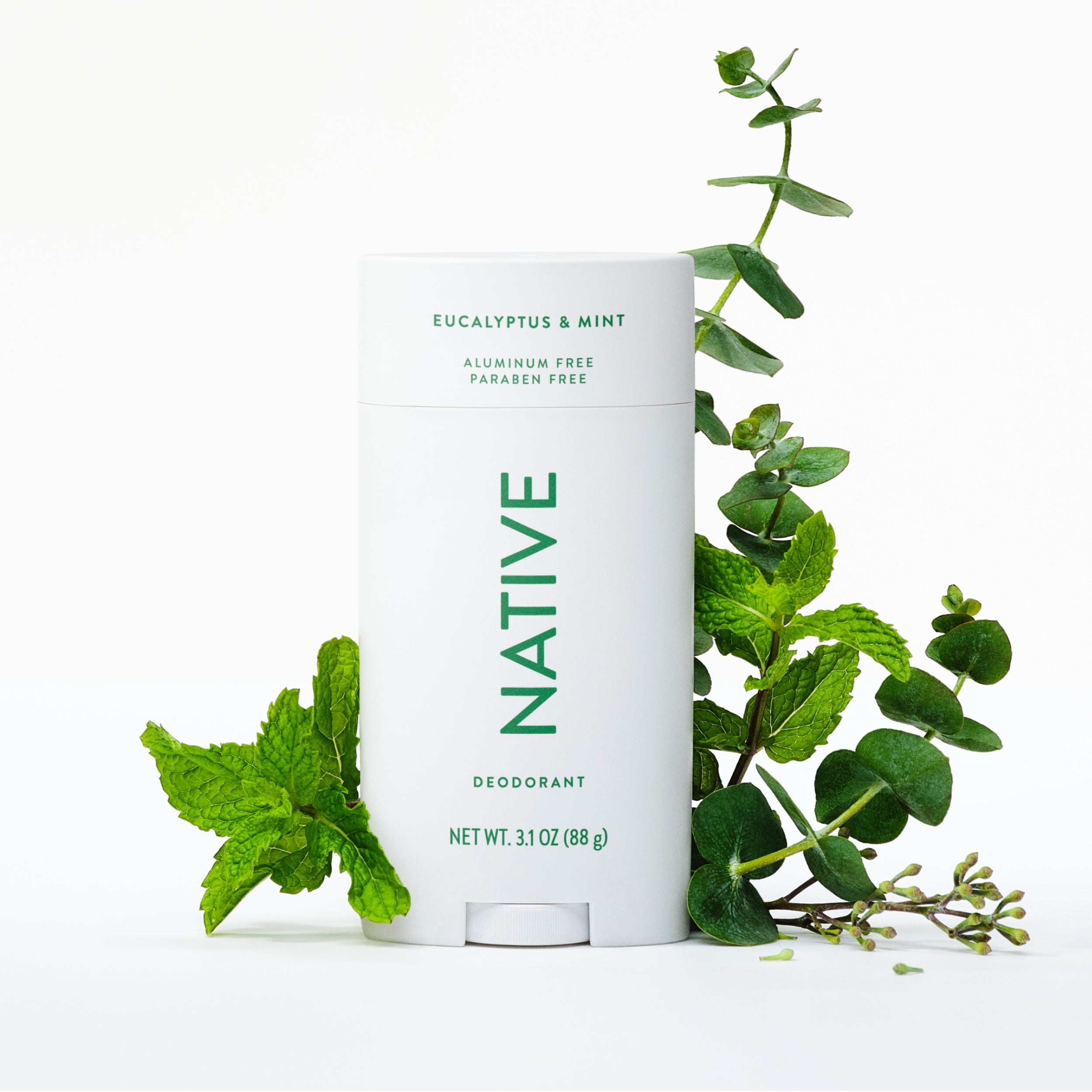 Deodorant Stick - Eucalyptus & Mint / Classic / 3.1oz | Fresh Daily Routine