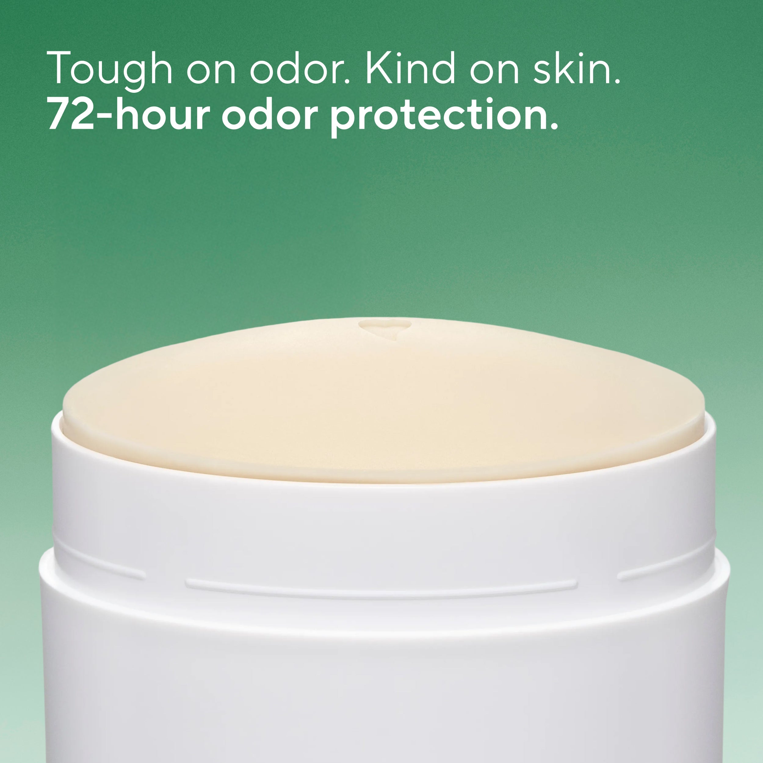 Deodorant Stick - Eucalyptus & Mint / Classic / 3.1oz | Fresh Daily Routine