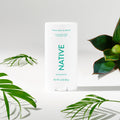 Deodorant Stick - Palm Leaf & Agave / Classic / 3.1oz | Fresh Daily Routine