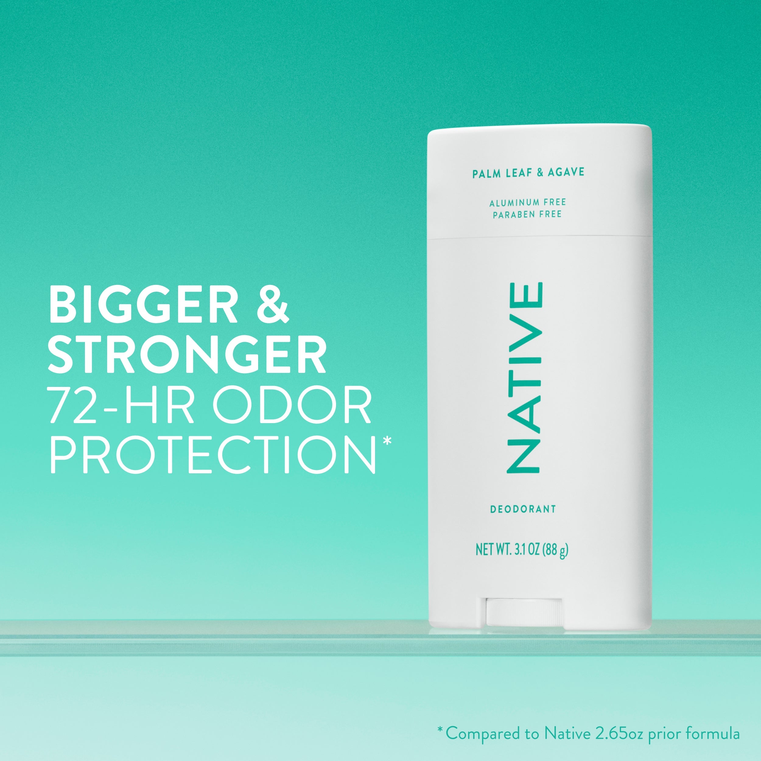 Deodorant Stick - Palm Leaf & Agave / Classic / 3.1oz | Fresh Daily Routine