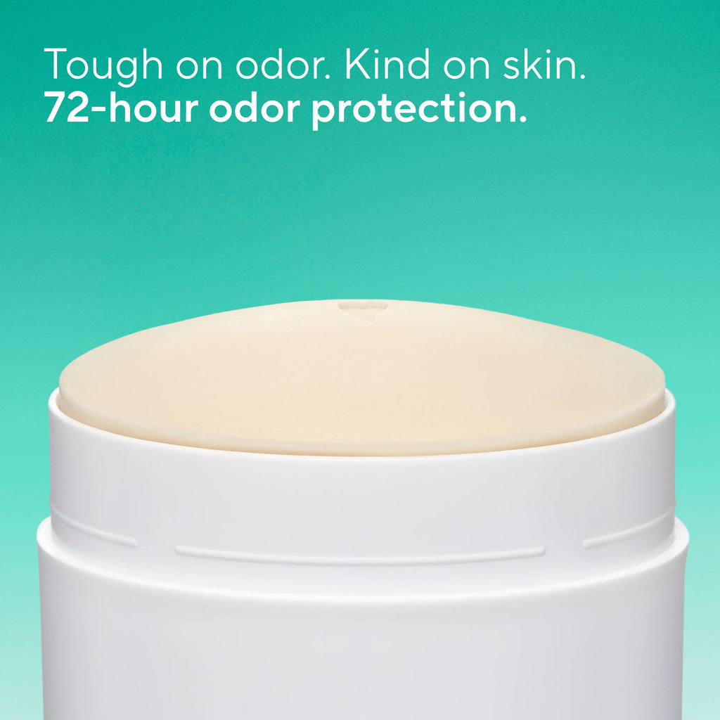 Deodorant Stick - Palm Leaf & Agave / Classic / 3.1oz | Fresh Daily Routine
