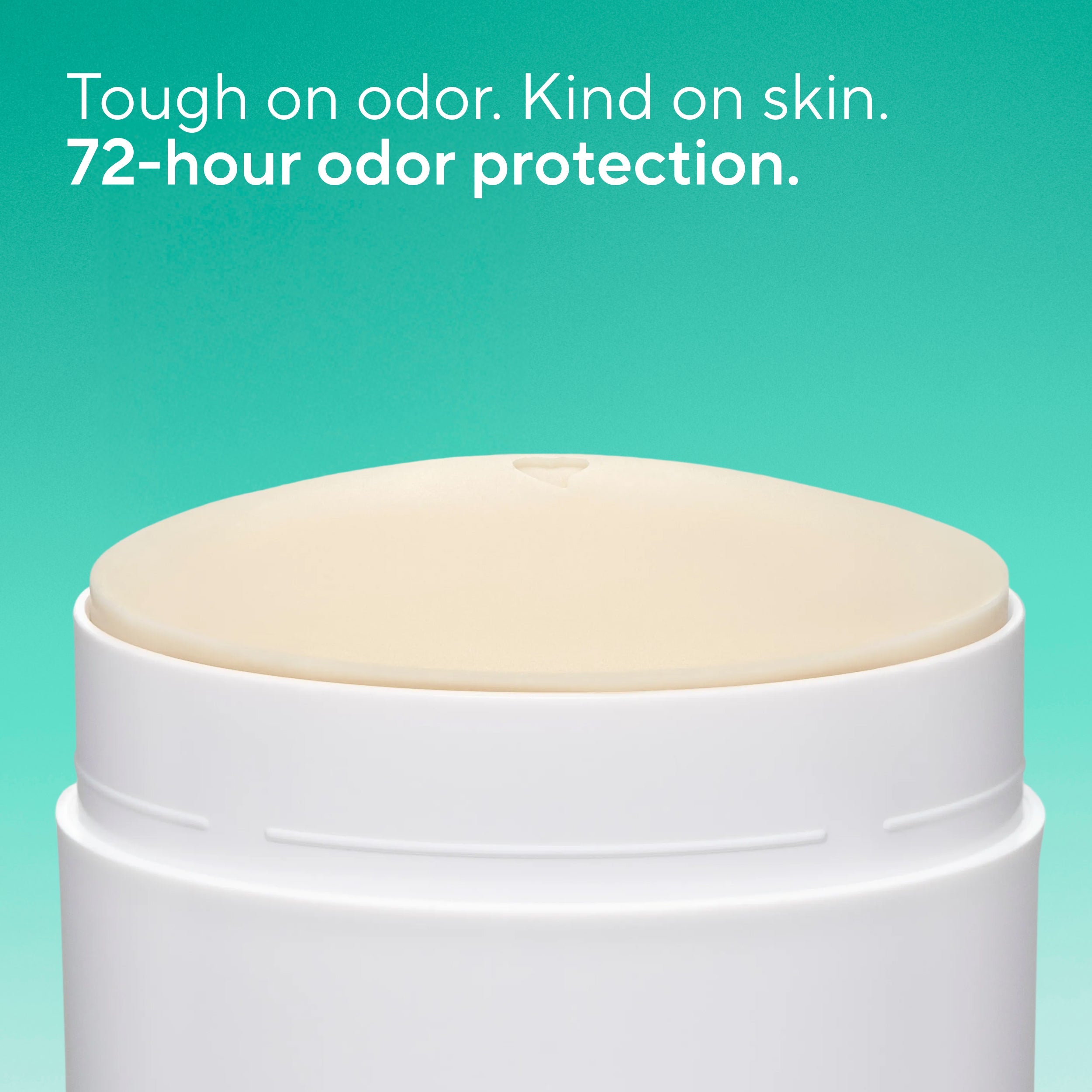 Deodorant Stick - Palm Leaf & Agave / Classic / 3.1oz | Fresh Daily Routine