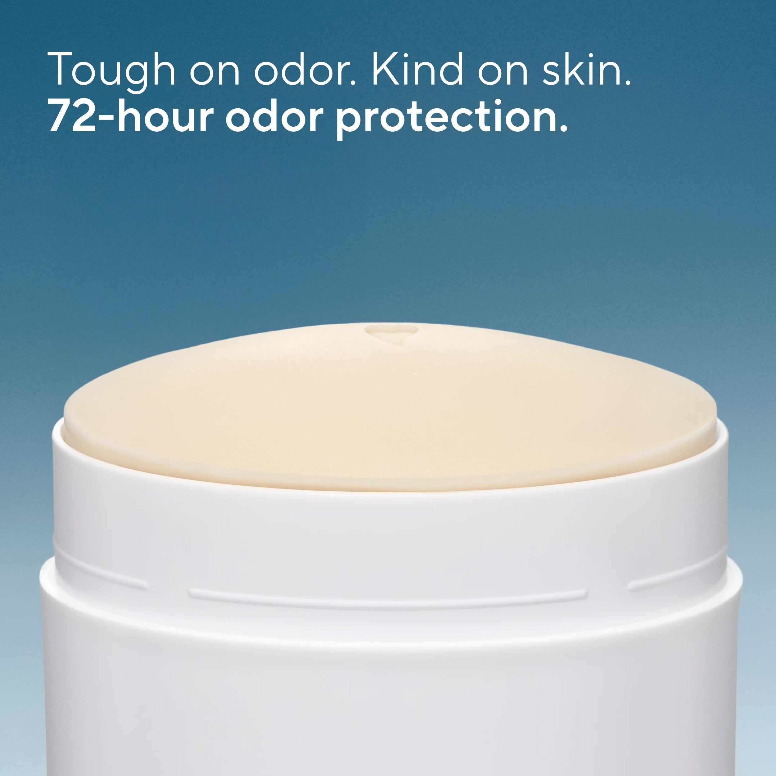 Deodorant Stick - Sea Salt & Cedar / Classic / 3.1oz | Fresh Daily Routine