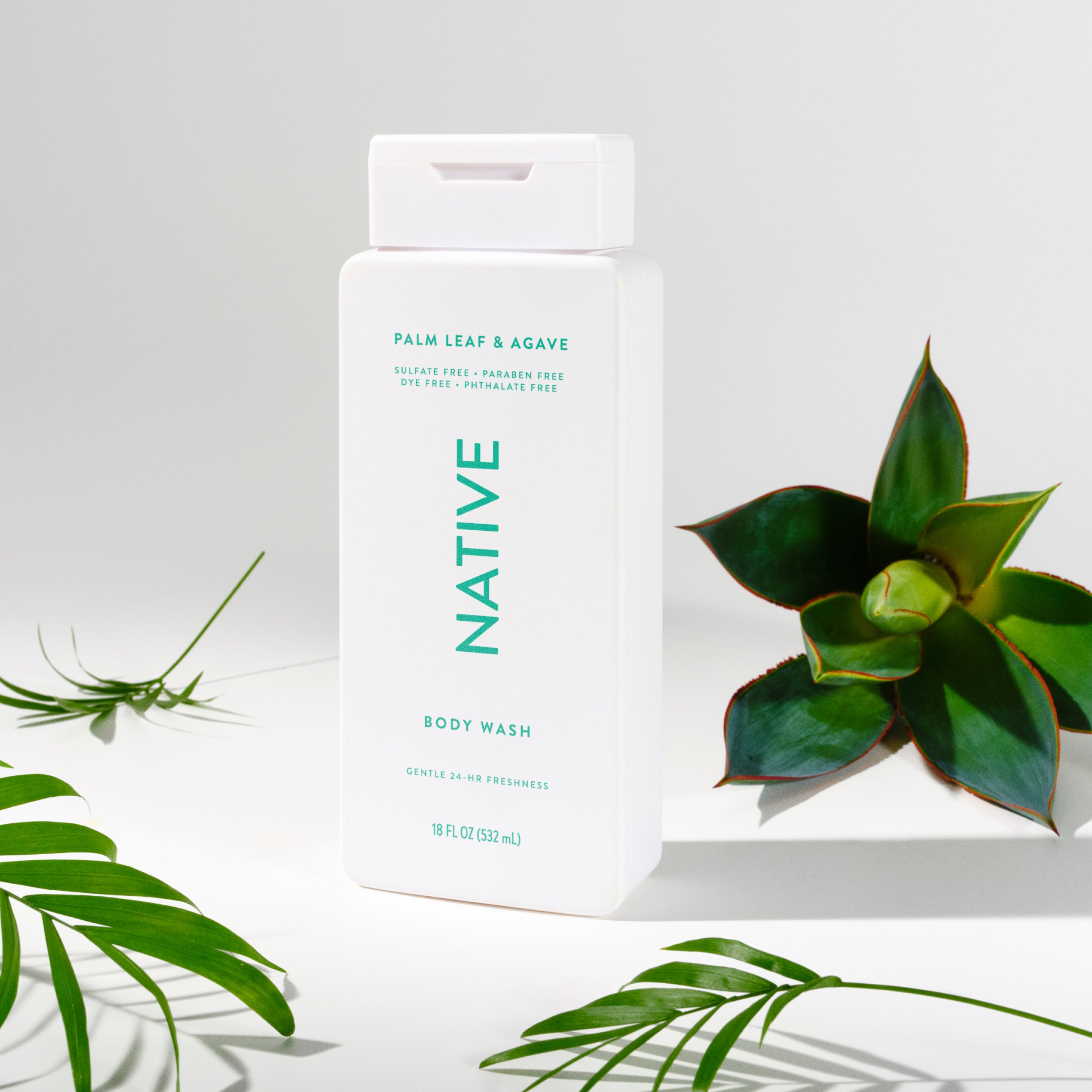 Body Wash - Palm Leaf & Agave / Classic / 18oz | Fresh Daily Routine