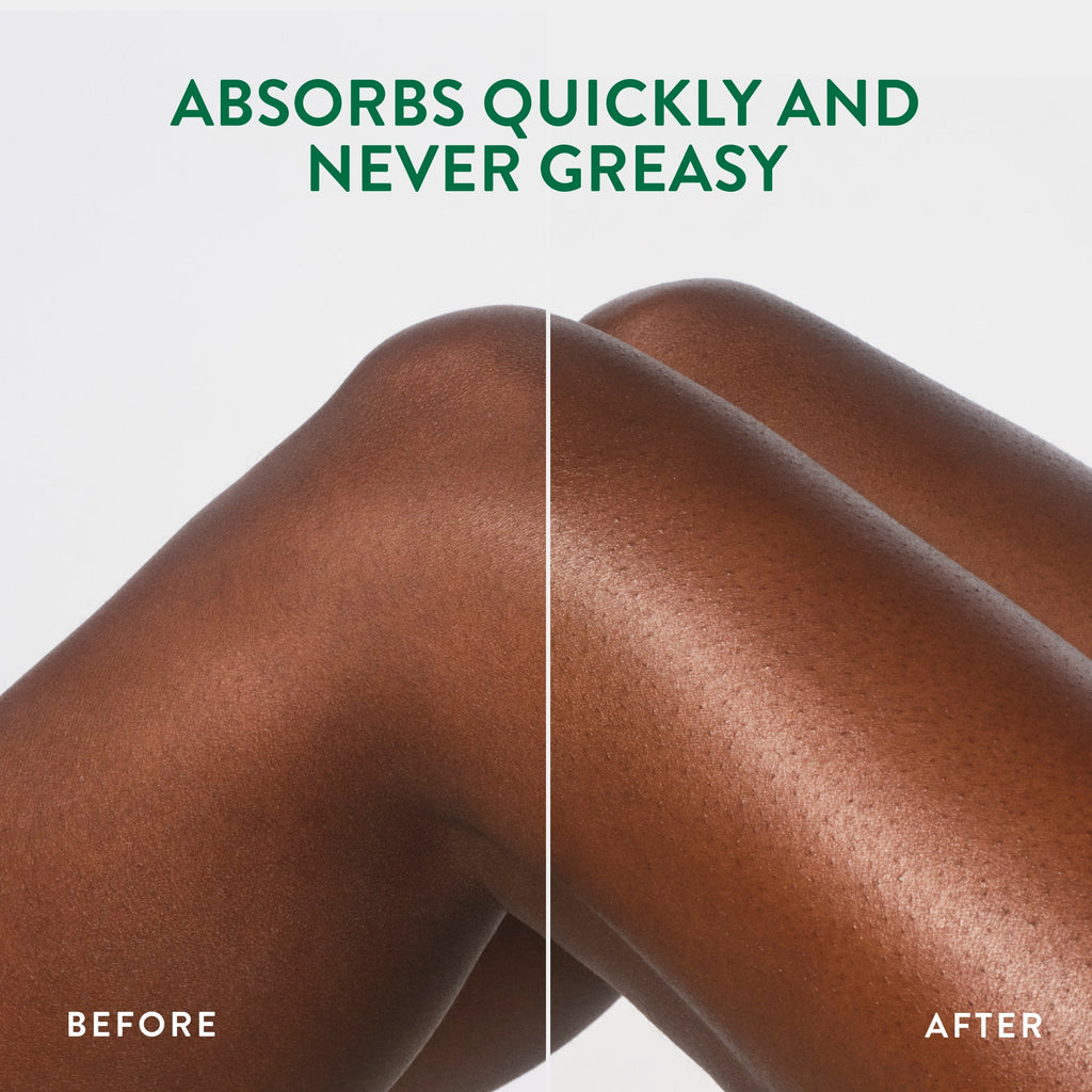 Body Lotion - Eucalyptus & Mint / Classic / 16.5oz | Fresh Daily Routine