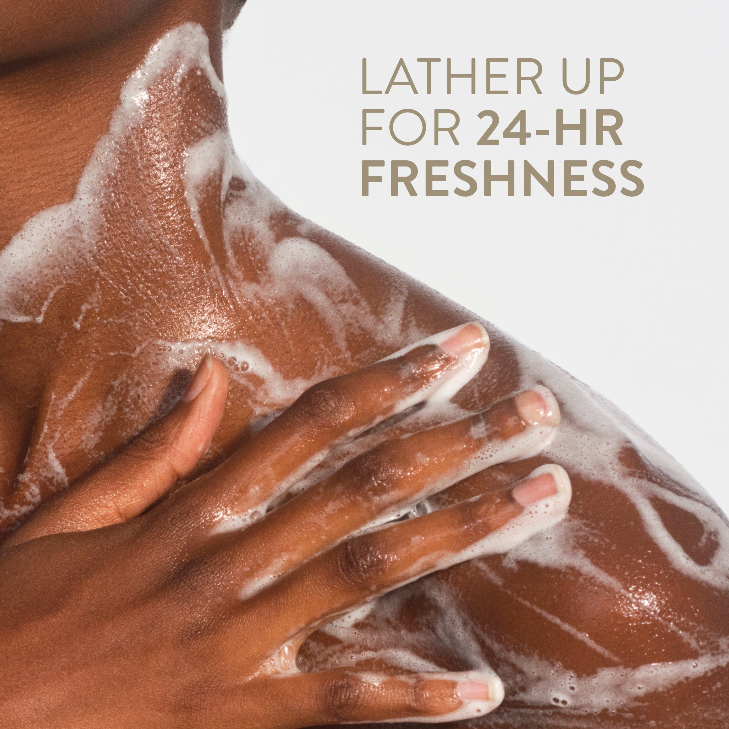 Body Wash - Sandalwood & Shea Butter / Classic / 18oz | Fresh Daily Routine