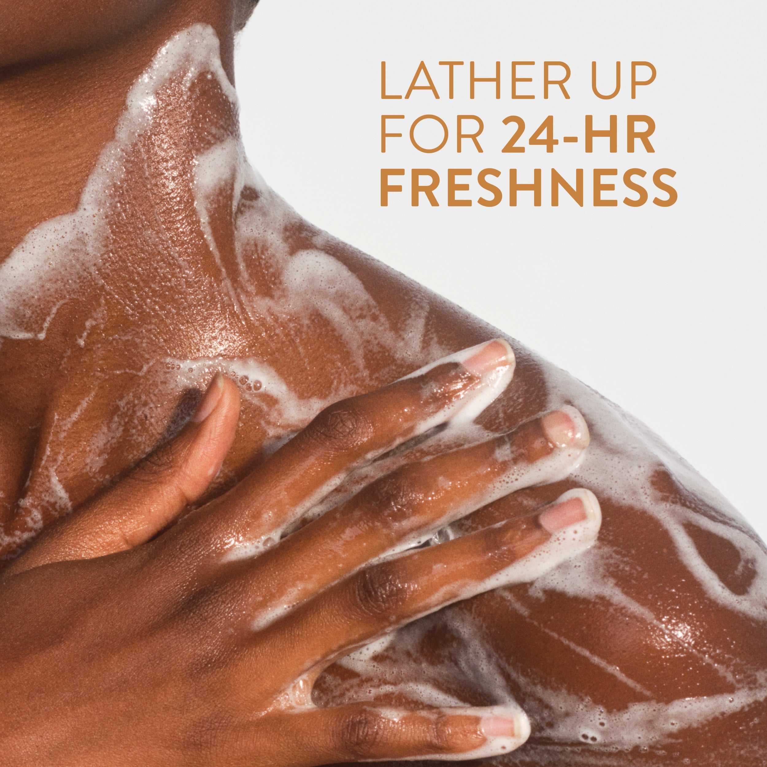 Body Wash - Vanilla & Sandalwood / Classic / 18oz | Fresh Daily Routine