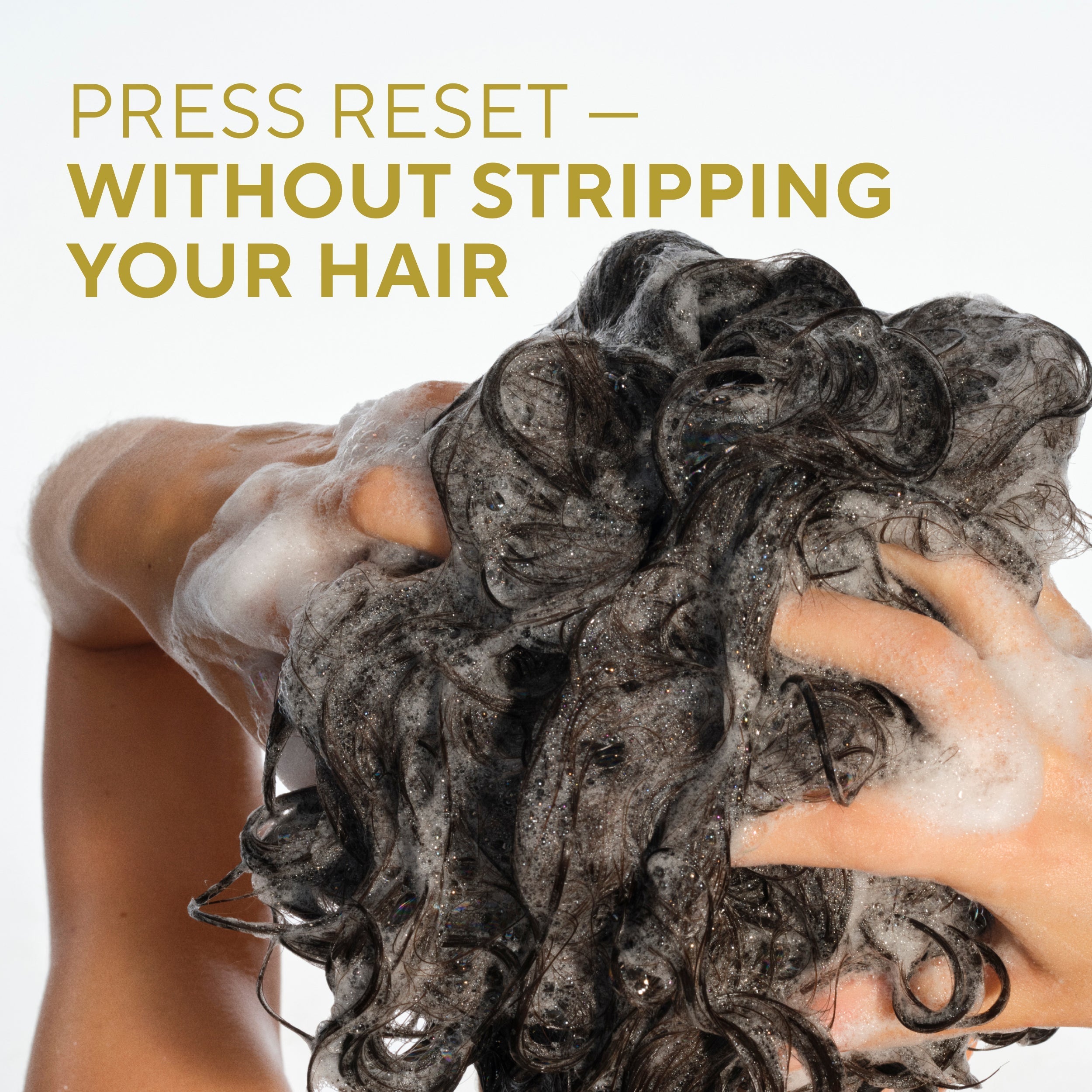 Curl Care Shampoo - Coconut Milk & Turmeric / Classic / 16.5oz | Fresh Daily Routine