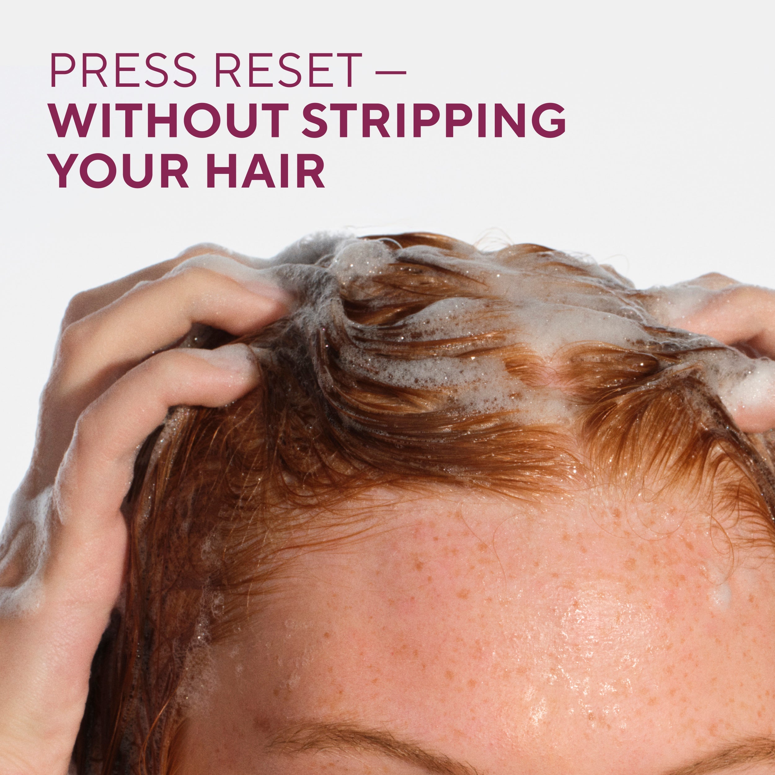 Strengthening Shampoo - Blackberry & Green Tea / Classic / 16.5oz | Fresh Daily Routine