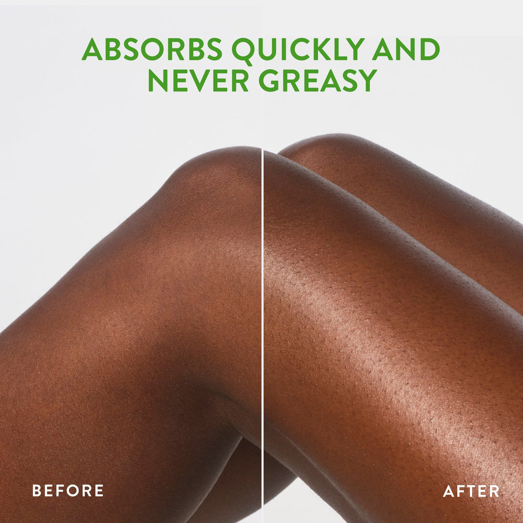 Body Lotion - Cucumber & Mint / Classic / 16.5oz | Fresh Daily Routine