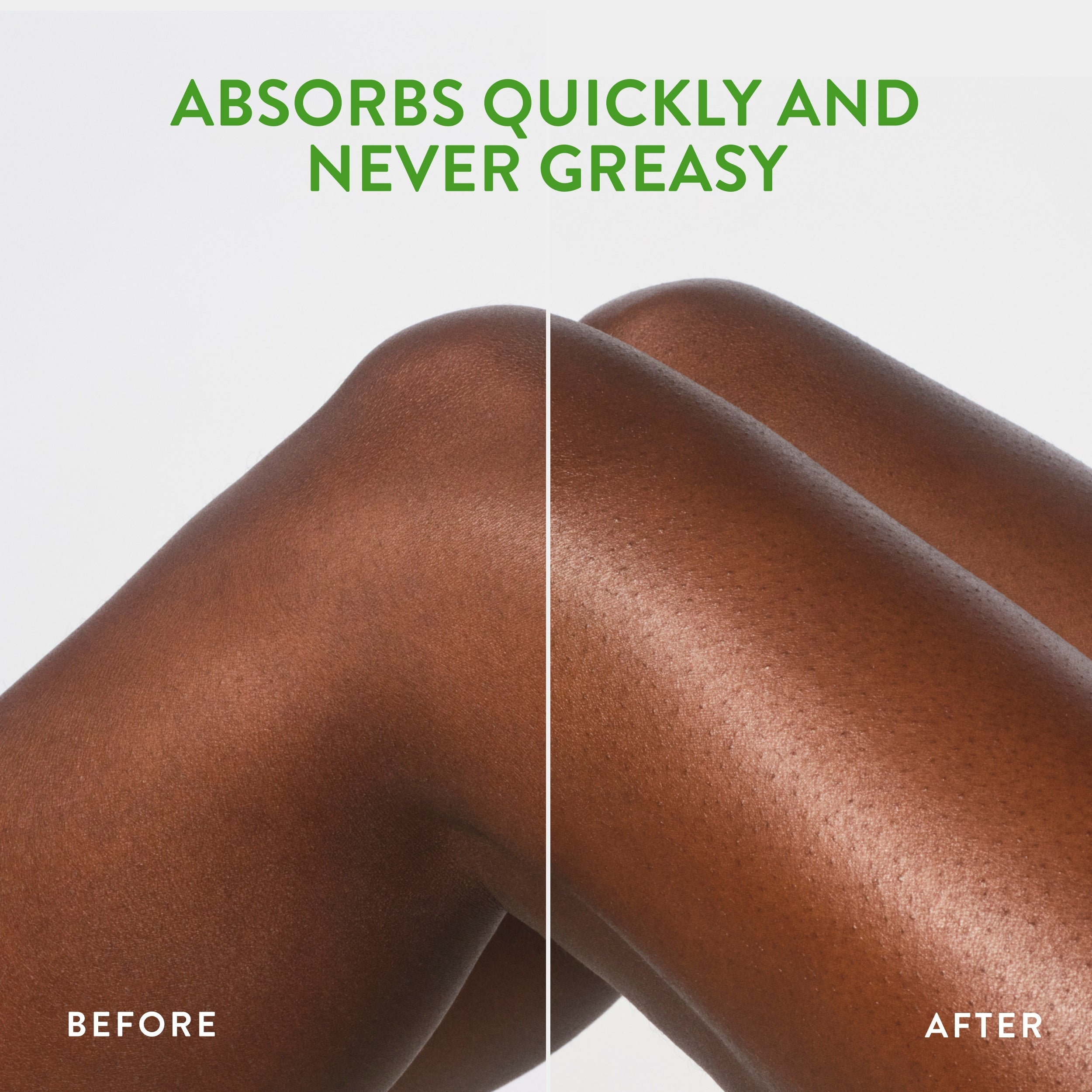 Body Lotion - Cucumber & Mint / Classic / 16.5oz | Fresh Daily Routine