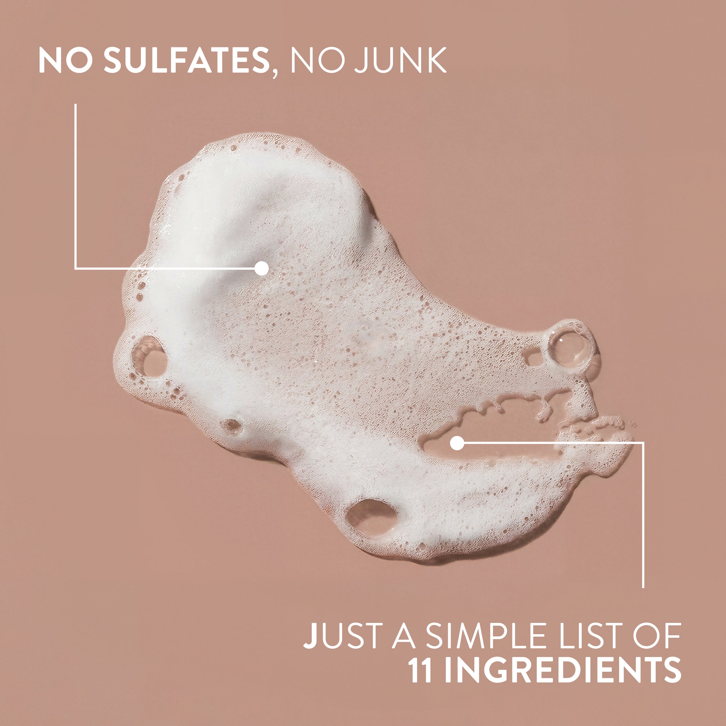 Moisturizing Shampoo - Coconut & Vanilla / Classic / 16.5oz | Fresh Daily Routine