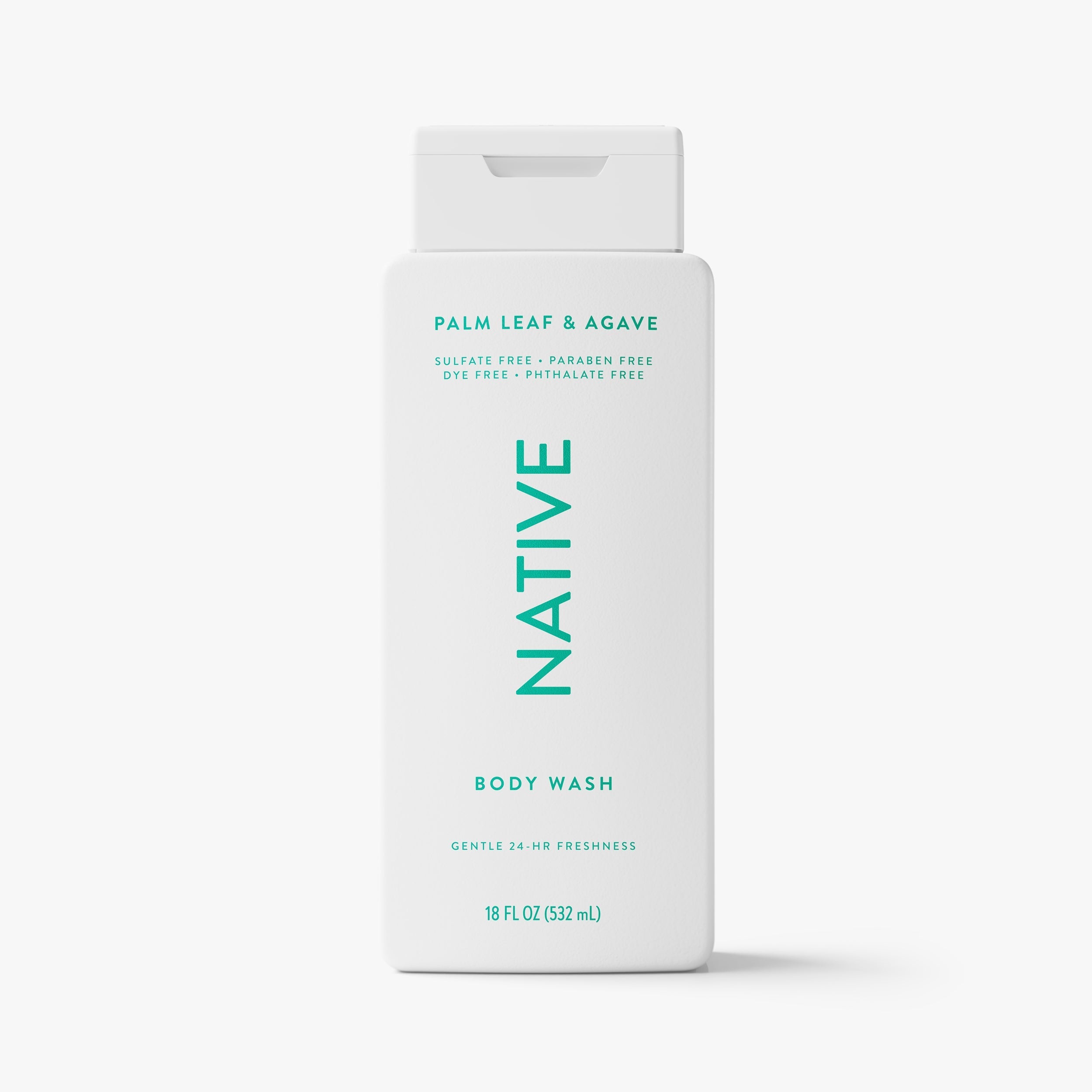 Body Wash - Palm Leaf & Agave / Classic / 18oz | Fresh Daily Routine