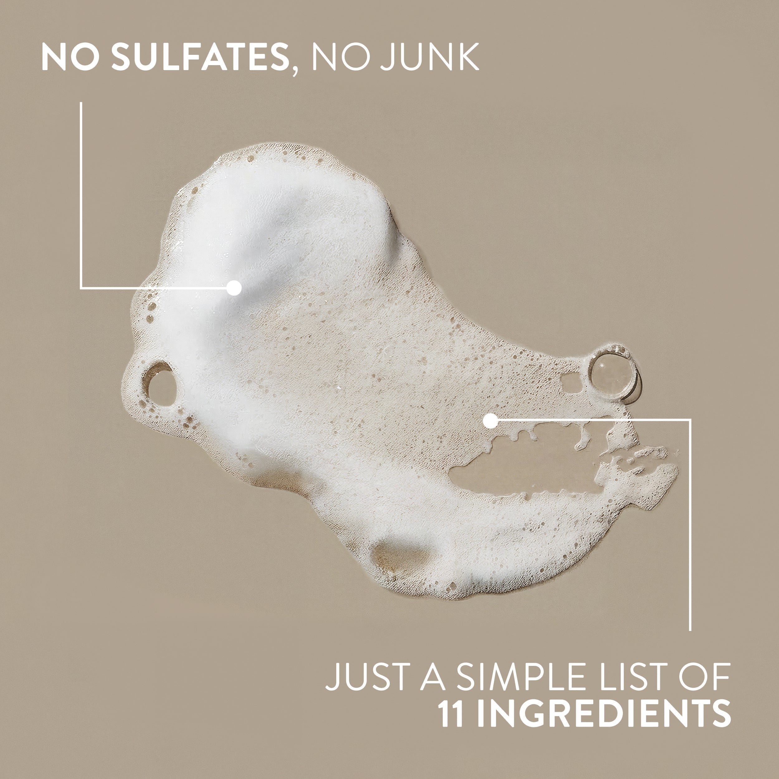 Full & Thick Shampoo - Sandalwood & Shea Butter / Classic / 16.5oz | Fresh Daily Routine
